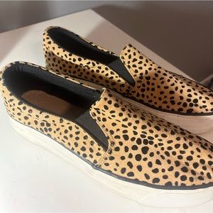 Restricted Cheetah platforms